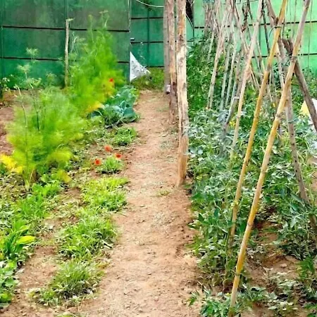 Maison d'hôtes I Poggetti