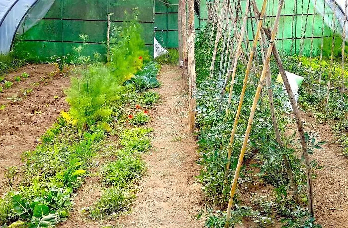 I Poggetti 게스트하우스