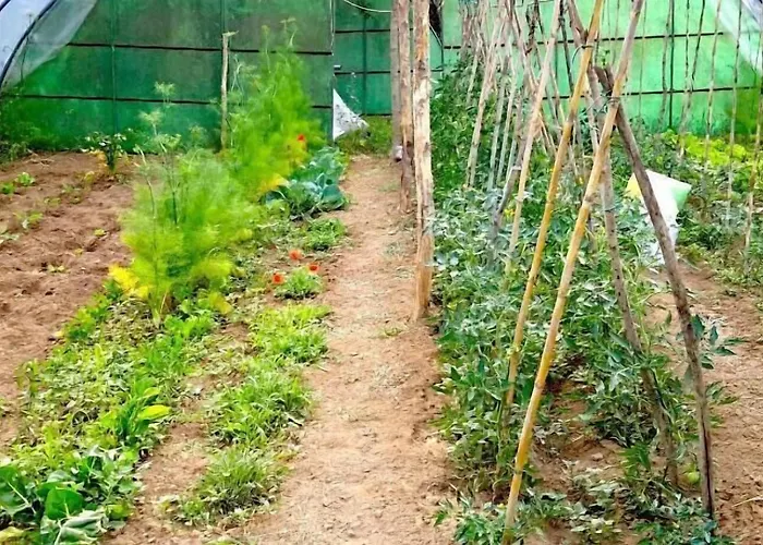 게스트하우스 I Poggetti