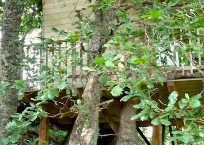 게스트하우스 I Poggetti 카스텔조르지오